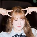 ‘안녕하세요 옌냥이입니다’ (웬디의 영스트리트 출근길) [<b>HD</b>포토]