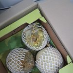 [이것좀봐줘] 이마트몰에서 멜론을 선물했는데 다 썩은걸보냈어요