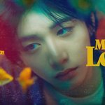 보넥도 <b>태산</b> 컨포