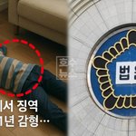 12년에서 11년으로 줄어든 <b>아동</b>학대치사 사건…야구선수 출신 아버지