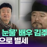 '용의 눈물' 배우 김주영, <b>폐렴</b>으로 별세…향년 73세 [투데이픽]