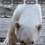 이런거보면 <b>무신</b>론자는 의미없는듯