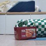 나의 동거묘 <b>도칠</b>이 어떤 하루 일상