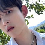 그 시절 영원한 국민 배우…故최진실 사망 17년→아들 <b>최환희</b> 근황