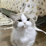 <b>선과악</b>이 공존하는