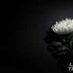 유고운 <b>PD</b>, 난소암 투병 중 3일 별세…어린이 프로그램 다수 만들어