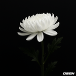 유고운 <b>PD</b>, 난소암 투병 끝 사망 '향년 45세'…어린이들에게...