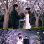 감아…'달까지 가자' 김영대·이선빈, '설렘 <b>폭발</b>' 벚꽃 데이트