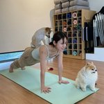 심은우도 이효리 요가원 찾았나 “<b>수련</b>에 집중하기 좋아요” 솔직 후기