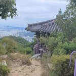 2주째 <b>방치</b>된 강아지