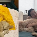 [드루와] '5월 결혼' 아이린, 반려견 떠났다…"나를 엄마로...