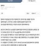 망상 환자가 아니라 망상 <b>흉내</b>글이라서 이런 글은 작성자 이름 얼굴이...