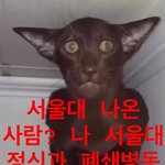 <b>엔수생</b>은 독서실 갈 준비중