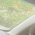 <b>어버이날</b> 선물ㅁㅌㅊ