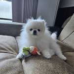 하 잘생기고 <b>어깨</b> 넓은 남자한테 안기고 싶다