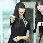 아이브 레이, ‘저기 봐 달라고 하셨어’ [포토엔HD]