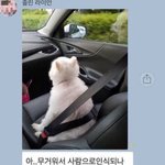 나 객관적인 수치로 예뻐졌는데 <b>궁물</b> 받음