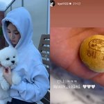 송혜교, 칸쵸 과자 '<b>혜교</b>' 이름 인증…찾았다, 추석 귀엽게 보내는...