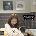 아옳이, 새끼 50마리 낳은 <b>번식</b>장 구조견 입양 "꽃길만 걷자"