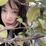 ‘헤어롤 대박예고’ 구혜선, “<b>파자마</b> 입고 사과밭에 왔어요” 추석...