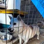 이거 ㄹㅇ 못생김 <b>유전</b>짤 생각남