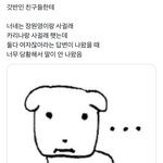 내<b>주변</b>에도 이런 애 있는데