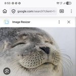 [이별과물범] 발안-향남산 <b>웨들</b>해물범이 되면