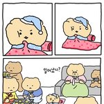보고