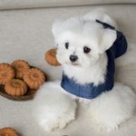 내 주변에 찐으로 예쁜애 두명 있는데