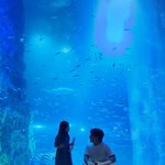 '재일<b>교포</b>' 이민우, 추석 연휴는 6살 딸과 함께…"제 가족입니다"...