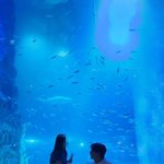 이민우, 싱글맘 예비신부 <b>법적</b> 갈등 속…6살 딸과 아쿠아리움 “해피...