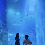 “전남편에 돈 못받아”…이민우, 日아내 금전문제 고백 속 평화로운...