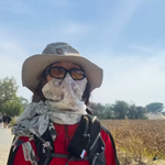 김보라, 이혼 후 <b>마음정리</b> 필요했나..절친 악뮤 이수현과 순례길...