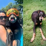 배정남, <b>심장마비</b>로 떠난 '벨' 마지막 사진 현상…"우리 딸래미...