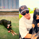 배정남, 세상 떠난 '<b>딸내미</b>' 마지막 필름사진…"푹 쉬고 있그라"...