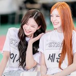 스테이씨 투어 기간중 자컨들 쇼츠 여섯