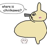 얘들아 나 <b>포카</b> 사려는데 어케해애댐