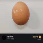 [드루와] 헐 당근에 삼십만원짜리 <b>매물</b> 올라옴