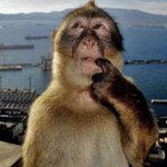 유명연예인 커플들은 <b>호캉스</b> 자주 갈듯