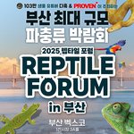 [슈슈깡<b>냉이</b>] ✨2025 코리아 렙타일 포럼 in 부산!