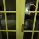 "키 크고 마른 편" 김종국, '아내 실루엣 포착'에 신혼여행 영상...