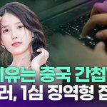 "아이유는 중국 간첩" 악플러, 1심서 징역형 <b>집유</b> [투데이픽]