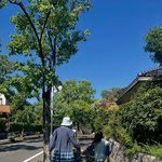 조윤희, 커플룩 입고 日 여행..포즈까지 똑같은 '붕어빵 <b>모녀</b>'