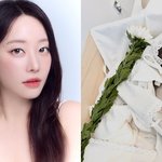 레인보우 <b>고우리</b>, 결혼 3년차에 안타까운 소식…"다시 꼭 만나자"...