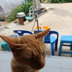 얘가 어딜봐서 산적같이생김?