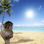 편의점 알바중인데 내가 <b>예민</b>한거냐