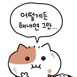 공부는 할 수 있을 때 해두면