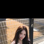 [이것좀봐줘] 5<b>세대</b> 장원영 5<b>세대</b> 핫걸 다 있음