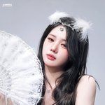 <b>로라</b> 팬싸 사진