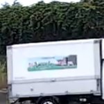 <b>뺑소니</b> 용의자 찾고있습니다. 이거 무슨 회사인지 알 수 있을까요...